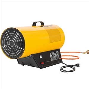 Mobiler Gasheizer Master BLP53M