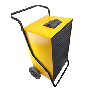Fral F96 Luftentfeuchter mit Pumpe 