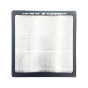  HEPA Filter zu Luftentfeuchter Dryfix X3