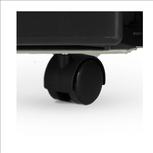 Oasis Rad schwarz ohne Bremse