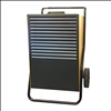 Fral F96 Luftentfeuchter mit Pumpe 