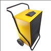 Fral F96 Luftentfeuchter mit Pumpe 
