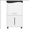 Dryfix Royal50 - WIFI Luftentfeuchter