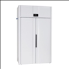 Trockenschrank FT120VP geschlossen